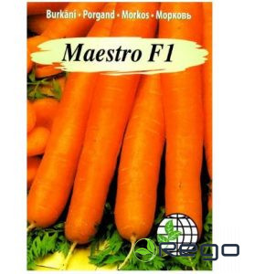 Burkāni Maestro F1200gran.