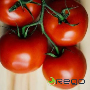 Tomātu sēklas Baribine F1 (5 sēklas)