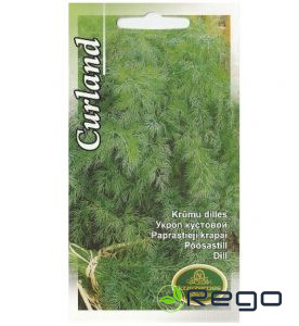 Dilles krūmu Kurland  5g (KS)