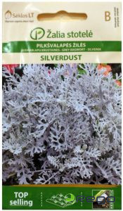 Krustaines ''SILVERDUST'' 25-40cm