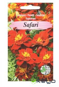 Samtenes Safari sarkanas 30s AMC