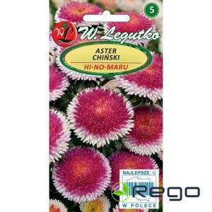 Asteres ķīnas Lilliput HI-NO-MARU sarkanas ar baltu