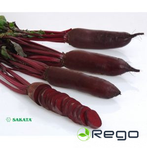 Bietes cilindriskās RODINA F1 500s