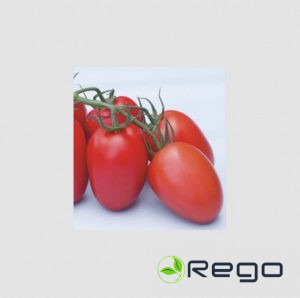 Tomātu sēklas Sanmino F1 (Lauka) 5 sēklas