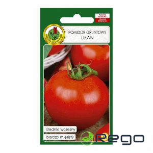 Tomāti Ułan 1g