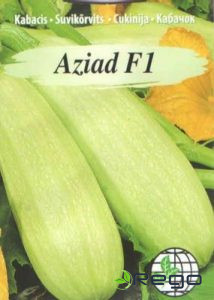 Kabacis Aziad F1 AMC 5sēklas