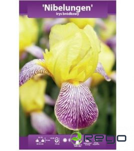 Īrisi bārdainie NIBELUNGEN WYBČR I 1gb.