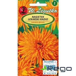 Kliņģerītes ārstnieciskās Radio 2g