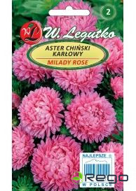 Asteres ķīnas zemās Milady (Ballad) rozā 1g