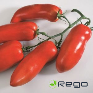 Tomāti CORNABEL F1 5 sēklas