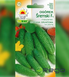 Gurķi Šremski F1 5g