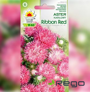 Asteres zemās Ribbon Red 0,5g