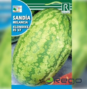 Arbūzi KLONDIKE RS57 10g