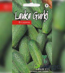 Gurķi lauka Adam F1 15s