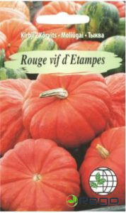 Ķirbis ROUGE vif d'Etampes 5 sēklas