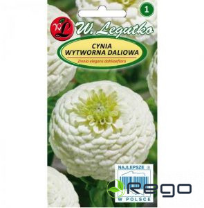 Cinnijas dāliju Polar Bear baltas 1g