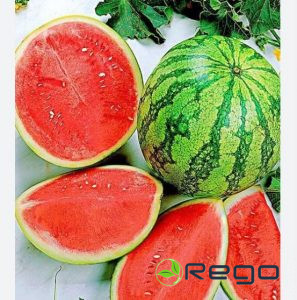 Arbūzu sēklas Romanza F1 5 sēklas
