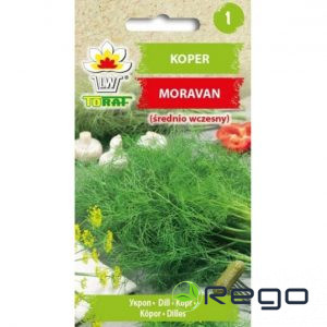 Dilles Moravan 5gr