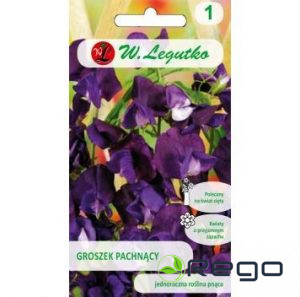 Puķuzirņi Cherry-violet 3g
