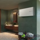 11007-2.jpg