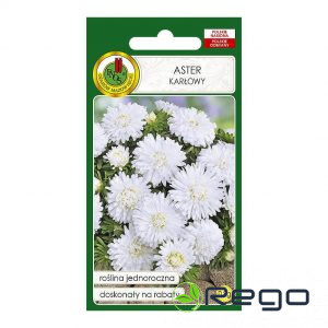 Asteres zemās Baltas 0.8g