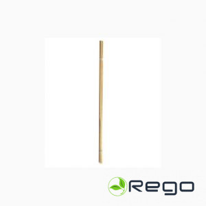 Bambusa kociņi 50 cm 10gb