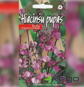 Hiacinšu pupiņas. Ēģiptes pupu sēklas 5gab
