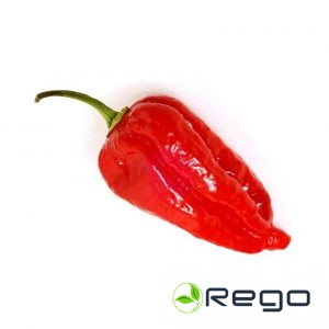 Pipari asie Naga Morich 5 sēklas