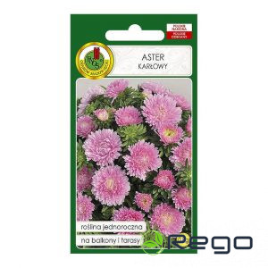 Asteres zemās rozā 0.8g