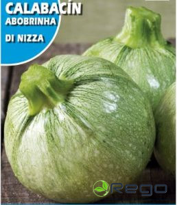 Cukīnī Redondo de Niza 10g
