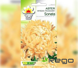 Asteres Sonata 1g