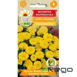 Samtenes Gypsy Sunshine 1g