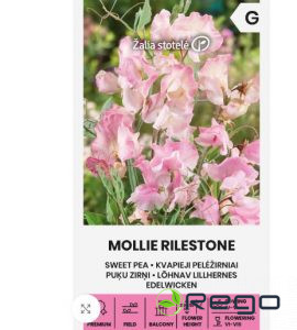 Puķuzirnīši Mollie Rilestone 2g
