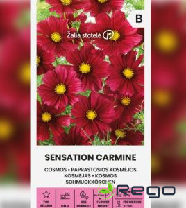 Kosmeja Sensation Carmine 1g.