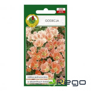 Godēcijas lielziedu Orange Glory 1g