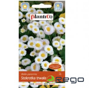 Mārpuķīte balta pildīta 0,1g PC