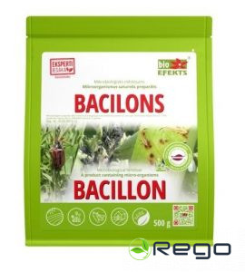 Bacilons 500g (mitrais)