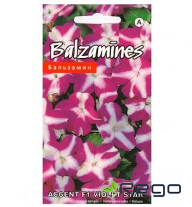 Balzamīnes Accent F1 Violet Star 10s (KS)