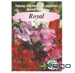 Puķuzirņi Royal maisījums 2gr.