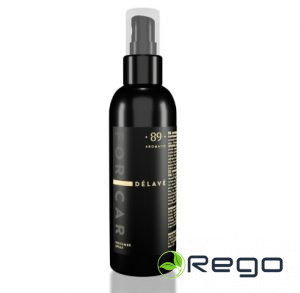 Aromatic 89 Smaržu aerosols automašīnai Delave 100ml