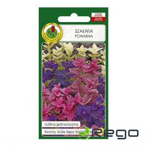 Salvija raibziedu 0.5g