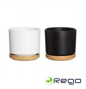 4Living puķu pods ar paliktni Rimma 14cm