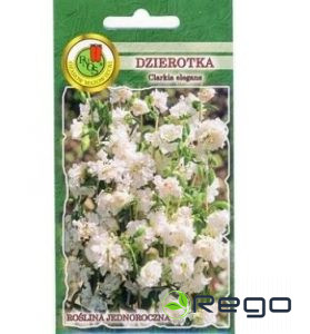 Klarkija balta 1g