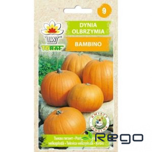 Ķirbis Bambino 5g