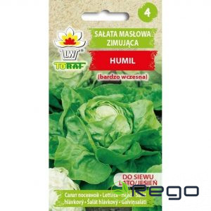 Salāti galviņsalāti HUMIL ziemas. Salātu sēklas 1g