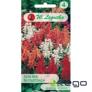 Salvija spilgtā mix 0.3g