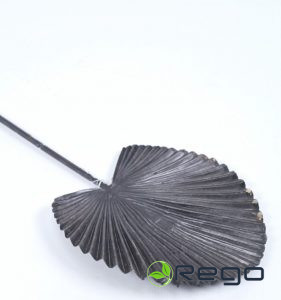 Palmu lapa melna 13cm H40cm