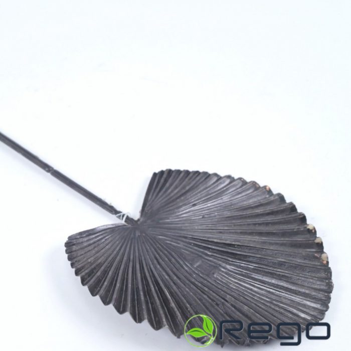 HZY-220132BLACK.jpg