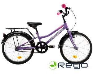 Divritenis DHS 20" 2002-50 Teranna, 10.80kg, purple