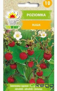 Zemenes Rugia 0.3g